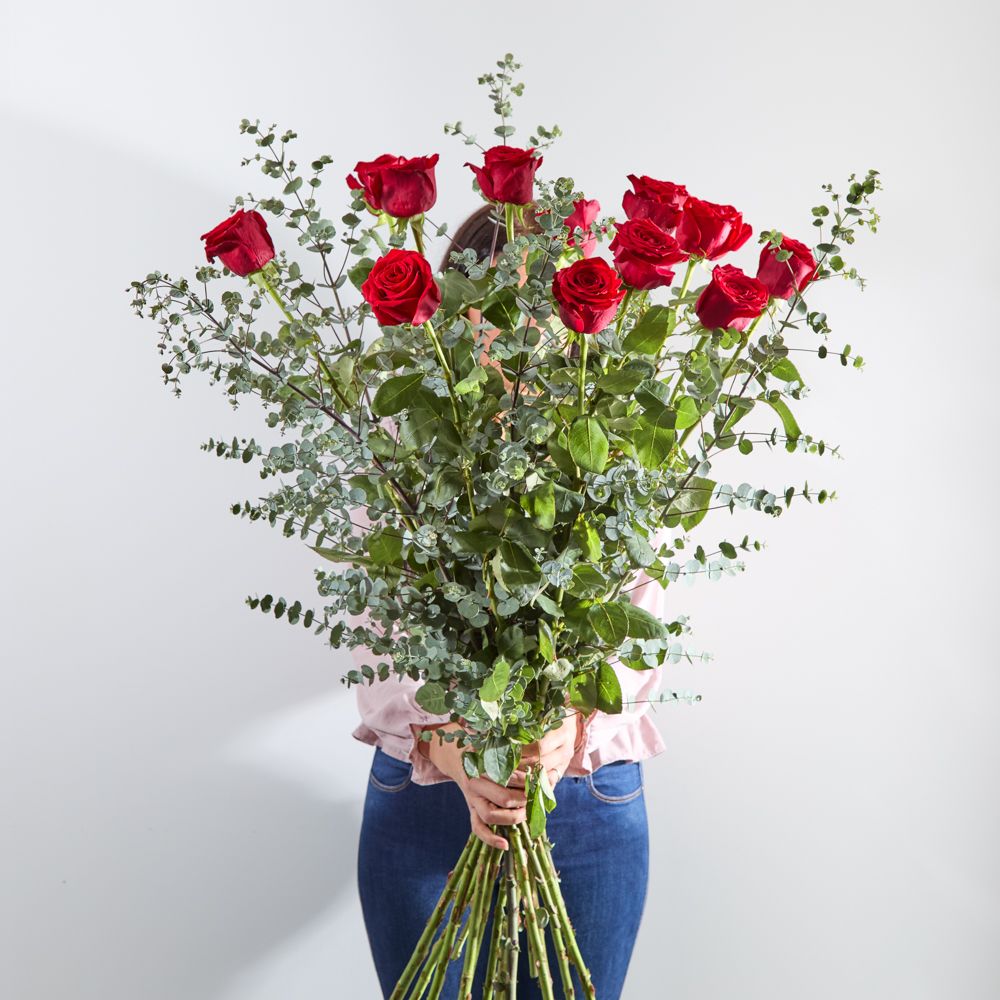 12 Luxury Long-Stemmed Red Roses | Arena Flowers