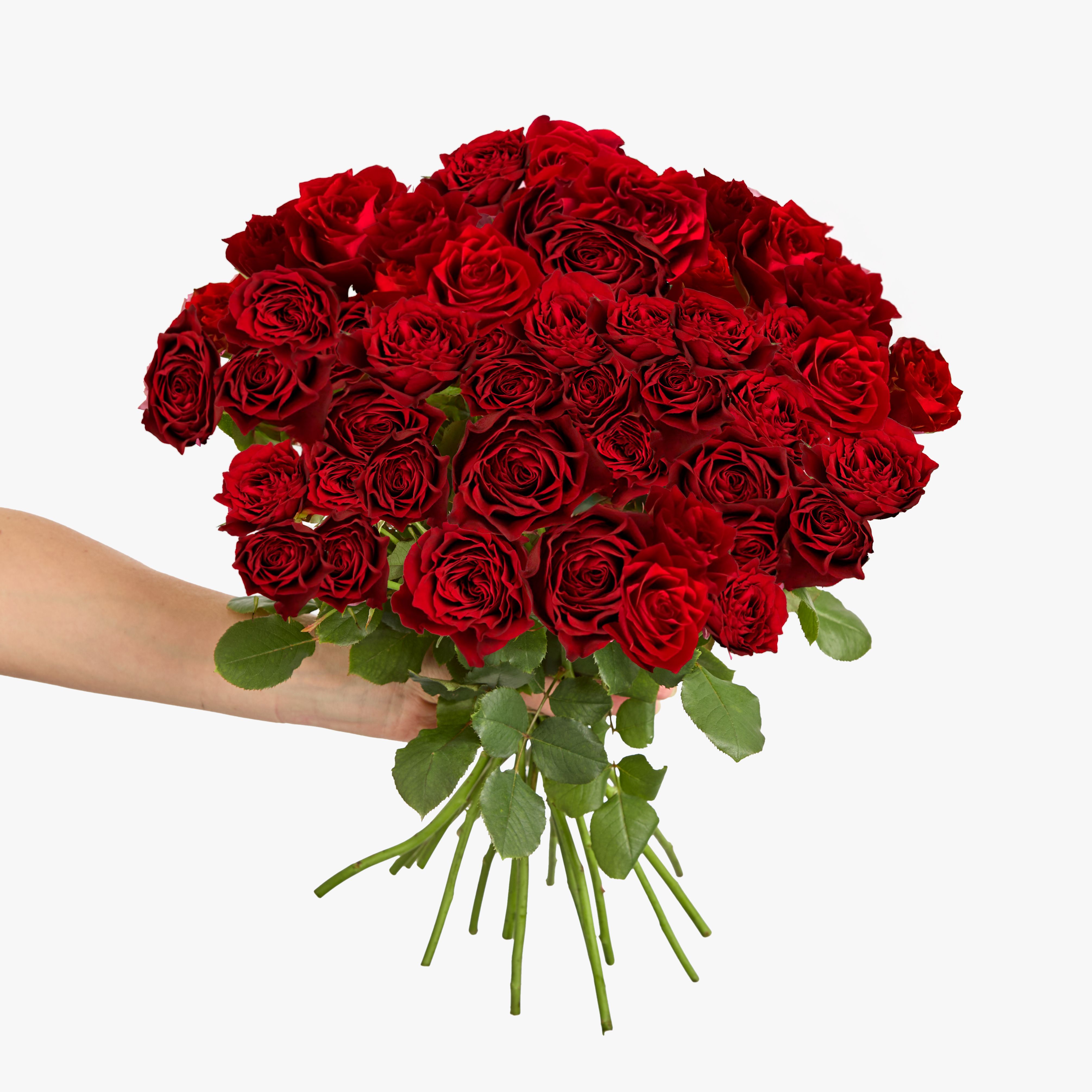 Red spray roses