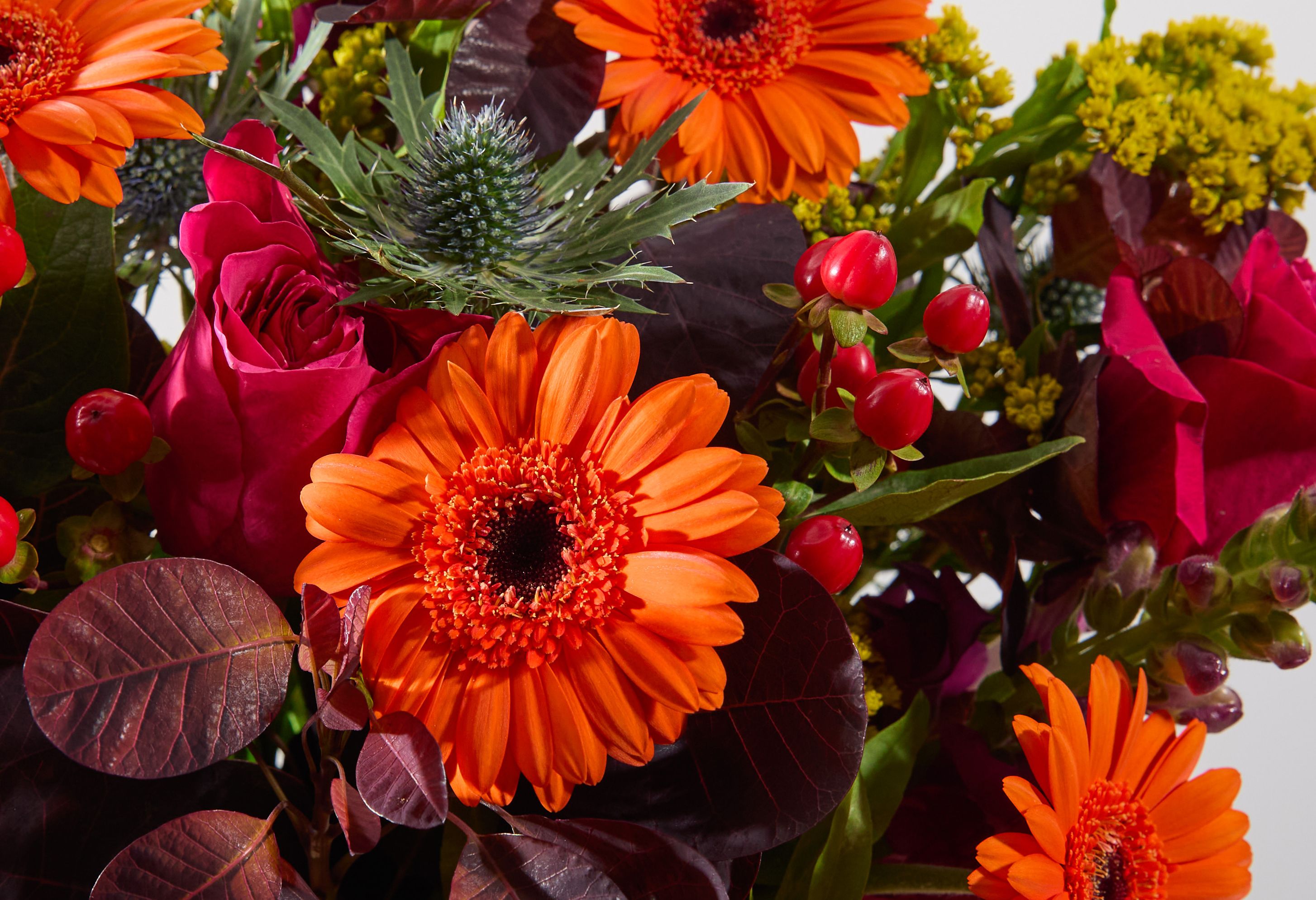 Orange gerberas, hypericum berries and erygium