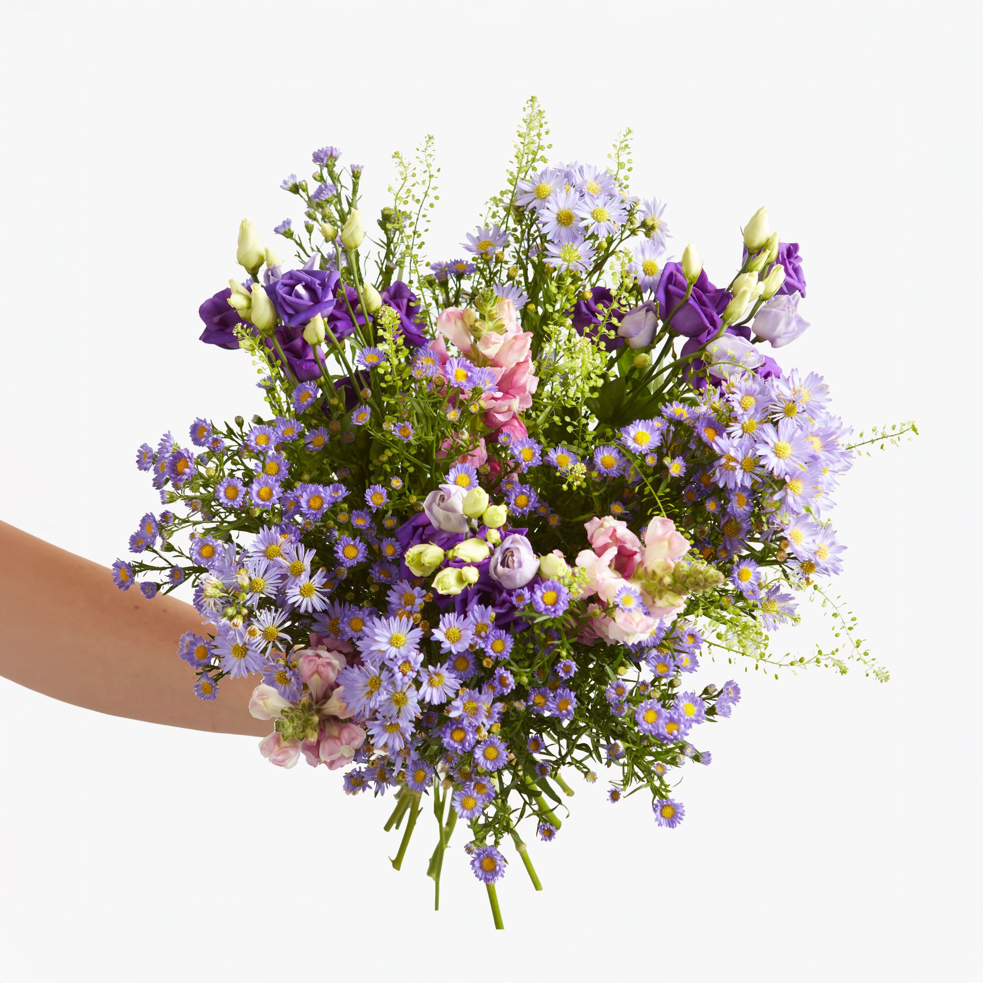 Asters, Lisianthus, Antirrhinum and Greenbell