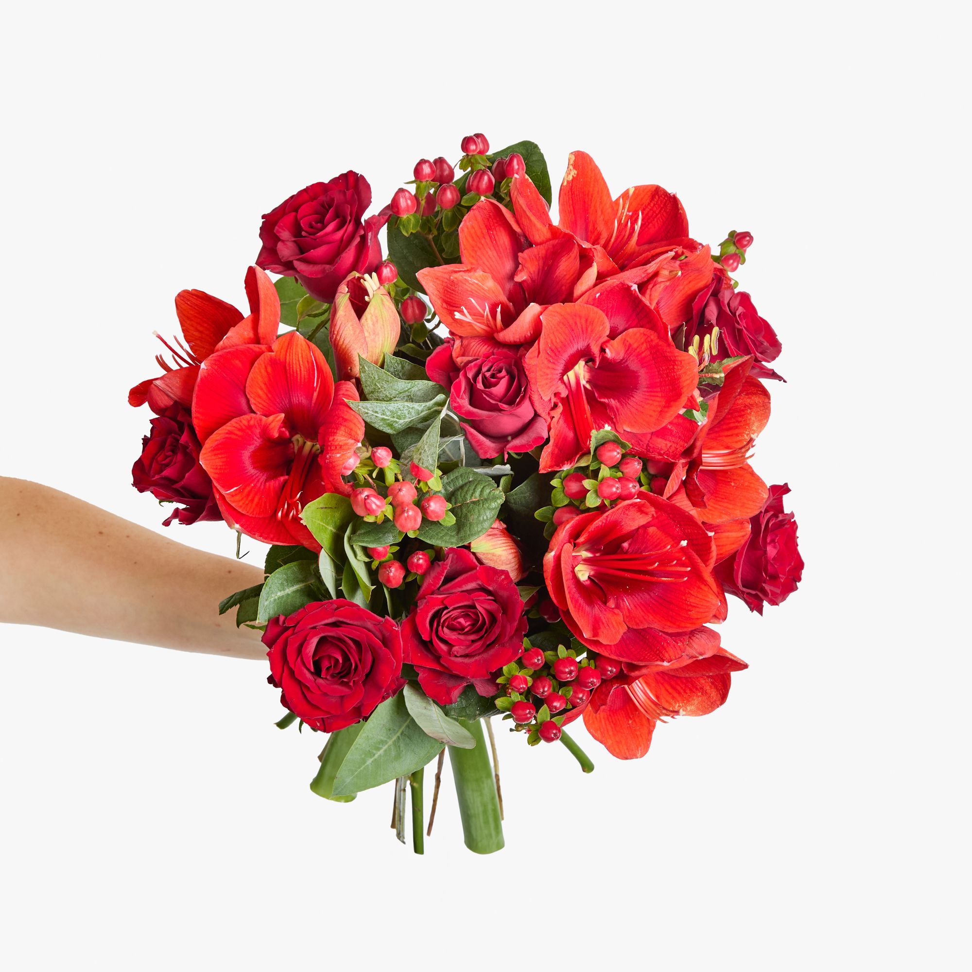 Red amaryllis, red roses, hypericum and eucalyptus robusta