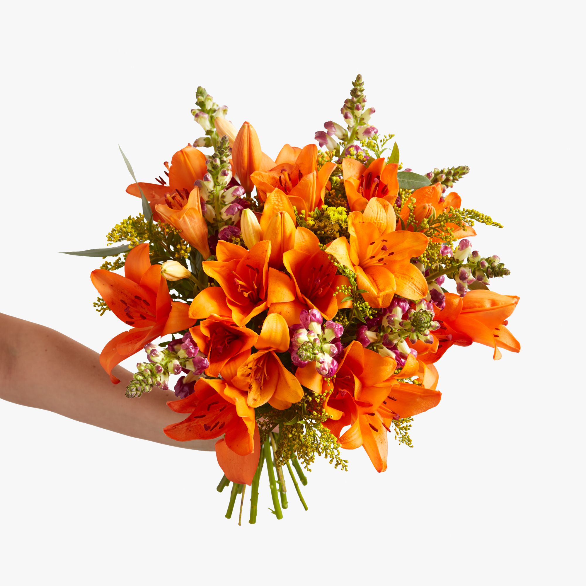 ‘LA’ lilies, antirrhinum, solidago, eucalyptus robusta