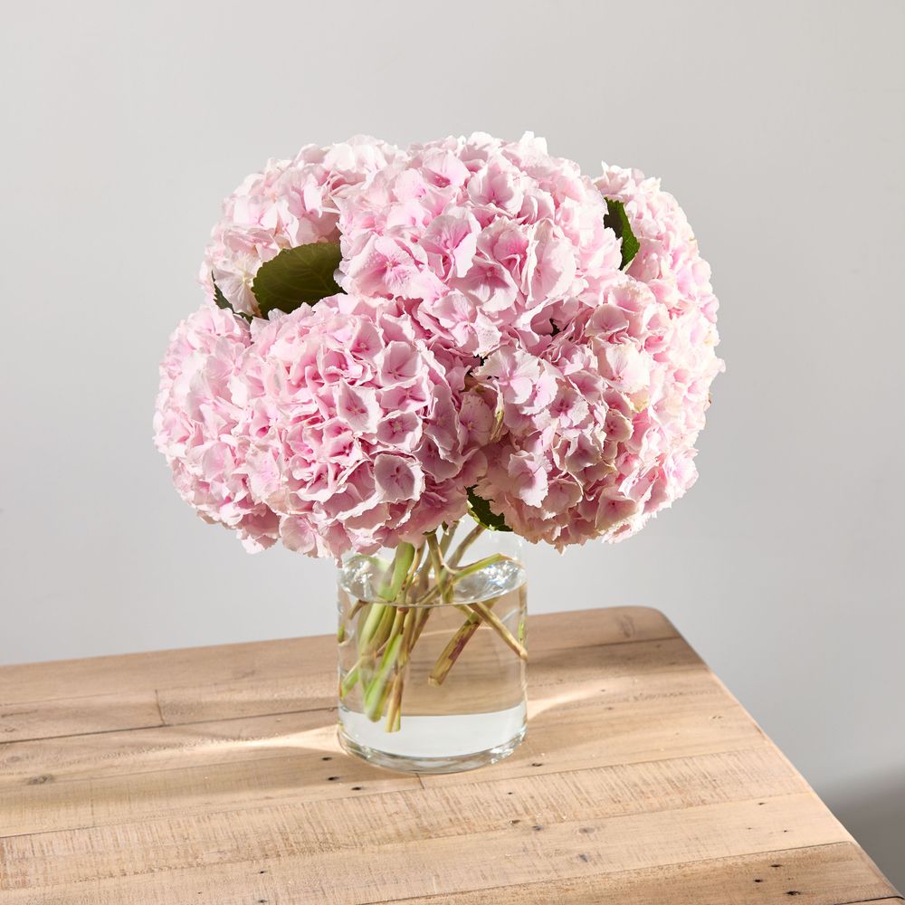 AF-Pink Hydrangeas-1-main.jpeg