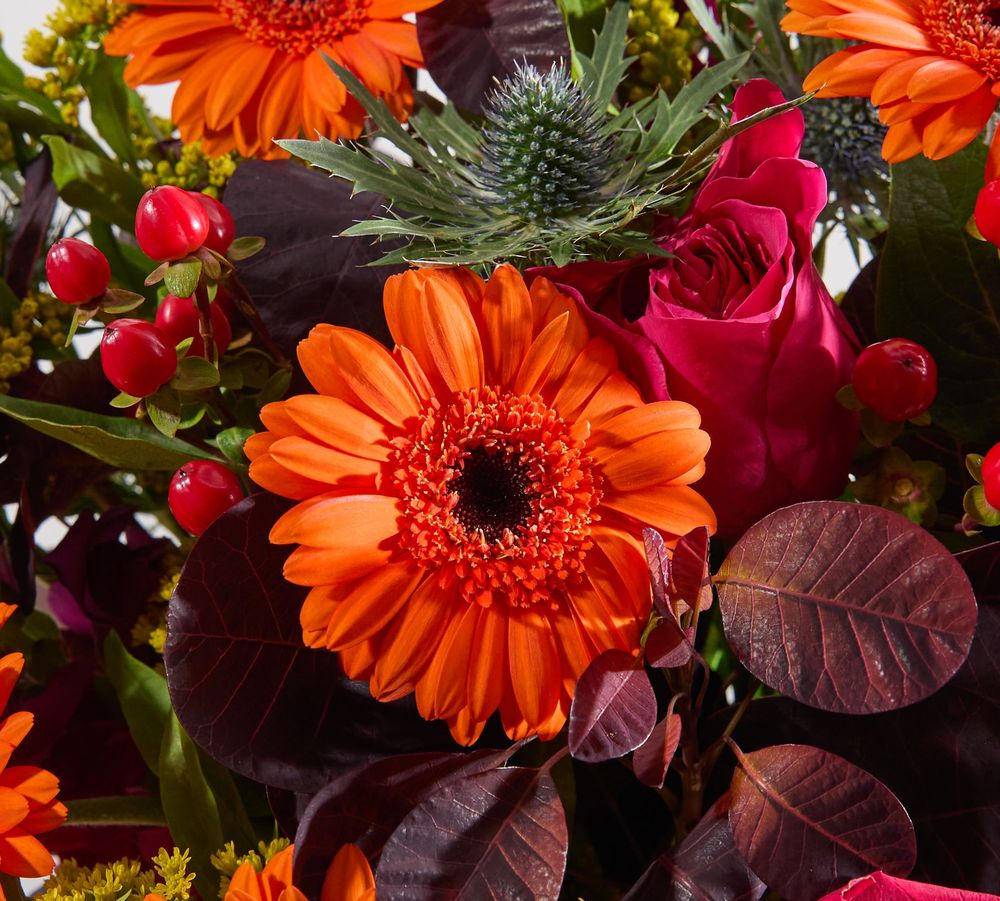 Orange gerberas, hypericum berries and erygium